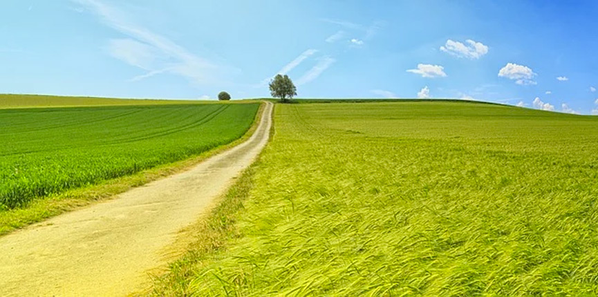 La campagne